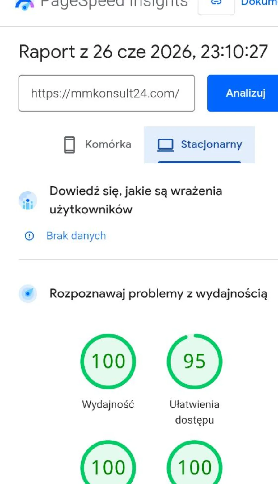 PageSpeed Insights desktop dla MMKonsult24: wydajność 100, SEO 100